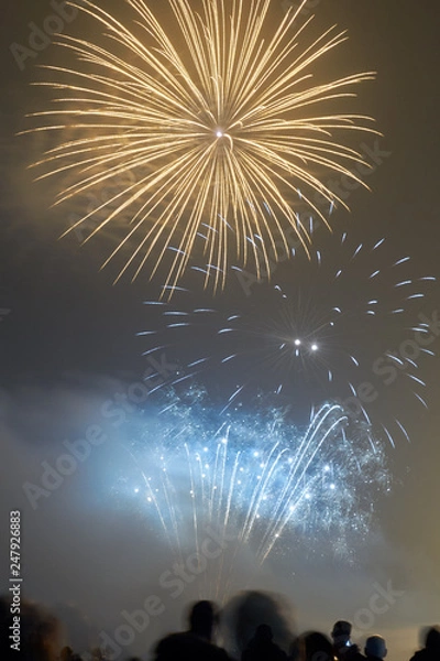 Obraz Bonfire night fireworks