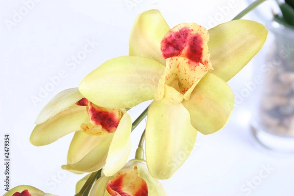 Obraz artificial orchid