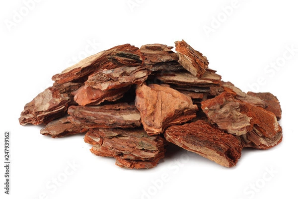 Obraz Tree bark pieces isolated on white background.