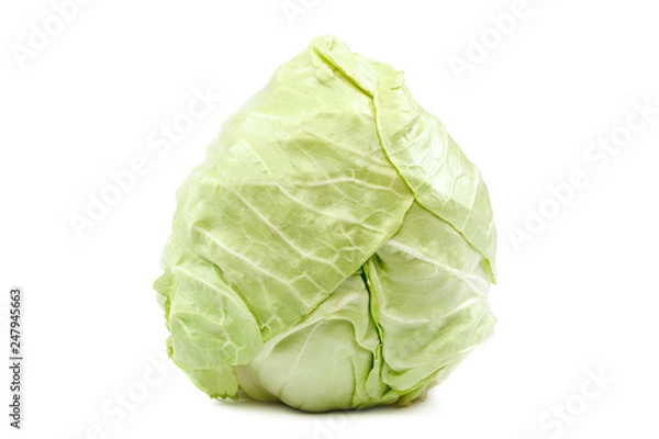 Obraz Fresh cabbage head isolated on white background