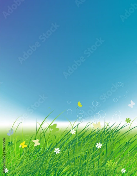 Fototapeta Green field with butterflies, summer background