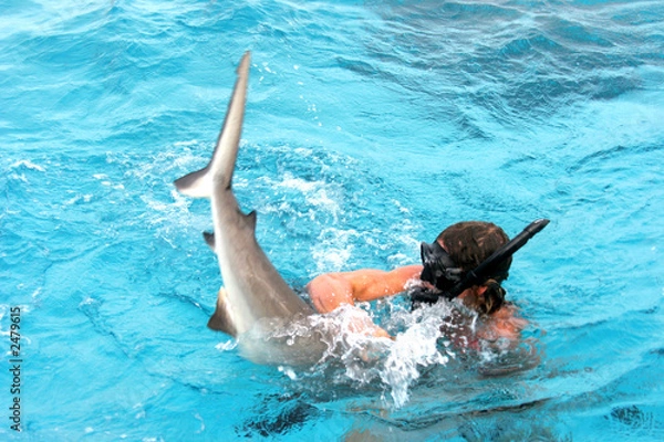 Obraz granville shark attack