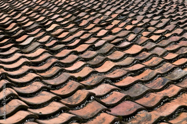 Obraz Alte Dachpfannen