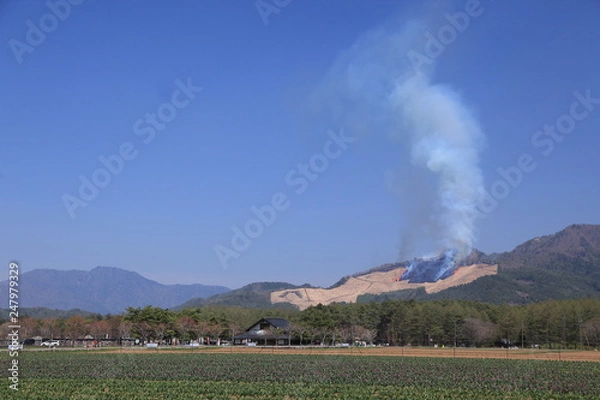 Obraz 山の斜面から立ち上る野焼きの煙