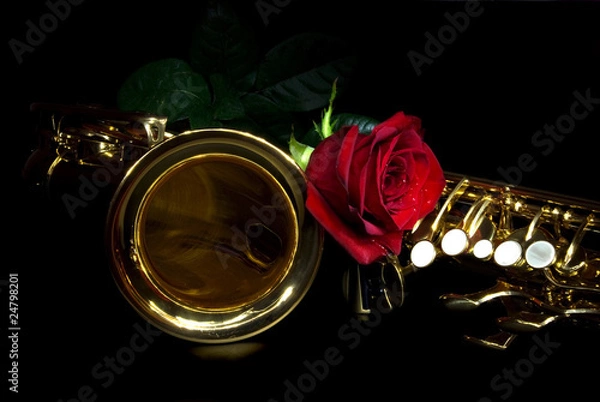 Obraz sax and rose