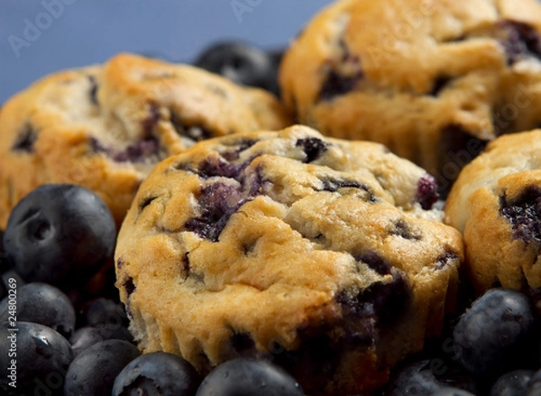 Obraz blueberry muffins