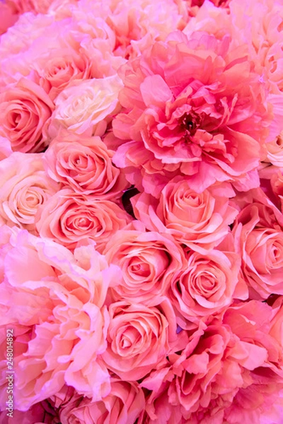 Fototapeta Soft coral pink color Roses Background