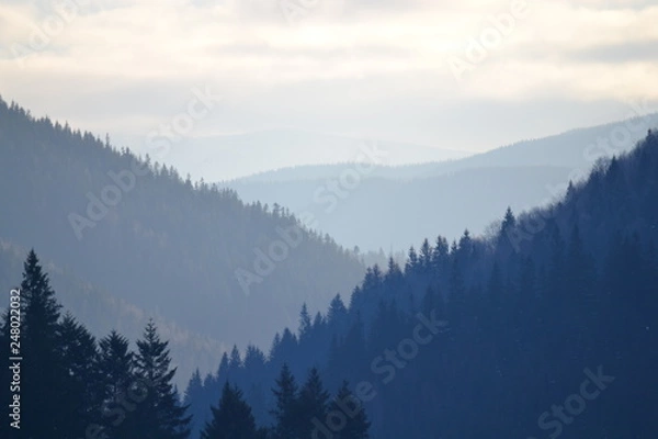 Fototapeta карпати