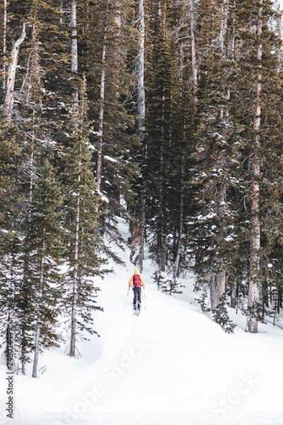 Obraz Alpine Skier in Mountain Scene