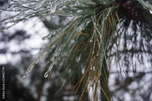 Obraz Freezing rain in Bucharest, ice rain