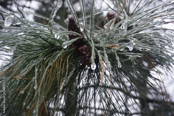 Obraz Freezing rain in Bucharest, ice rain