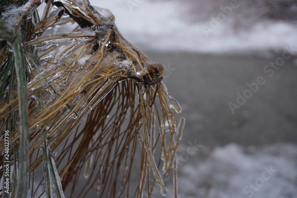 Obraz Freezing rain in Bucharest, ice rain