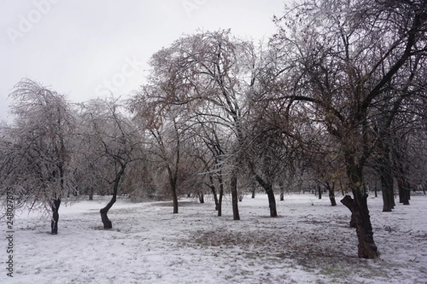 Obraz Freezing rain in Bucharest, ice rain