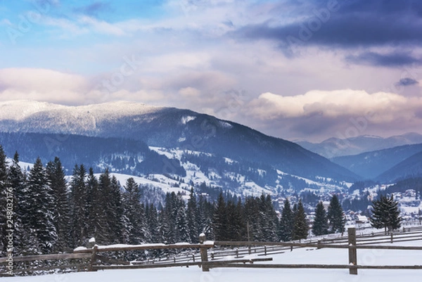 Fototapeta A sunny winter day in the Ukrainian Carpathian mountains with a lot of snow on the trees and slopes.