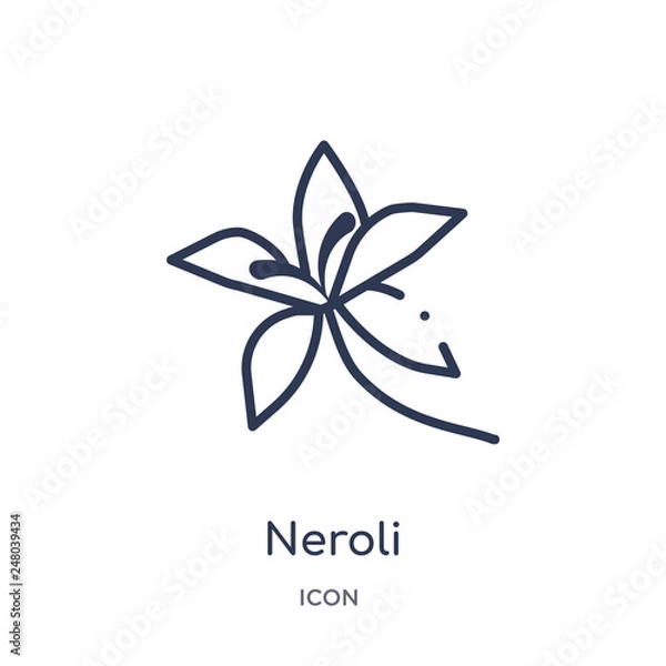 Obraz neroli icon from nature outline collection. Thin line neroli icon isolated on white background.