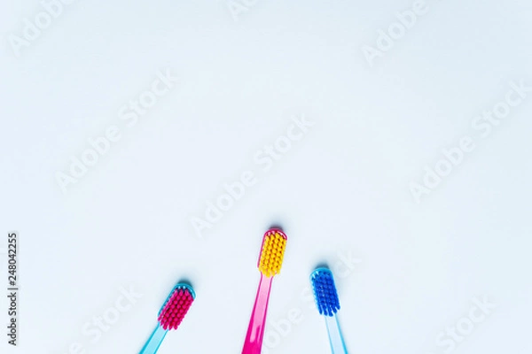 Fototapeta Colorful tooth brushes with bright color bristles on a light pastel blue background. Dental tools with empty space for text for  your Stomatologist mockup.