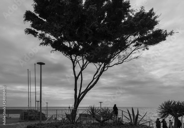 Obraz Looking Out To Sea