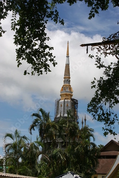 Obraz Threw the trees