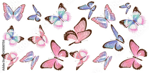 Obraz beautiful pink butterflies, isolated  on a white