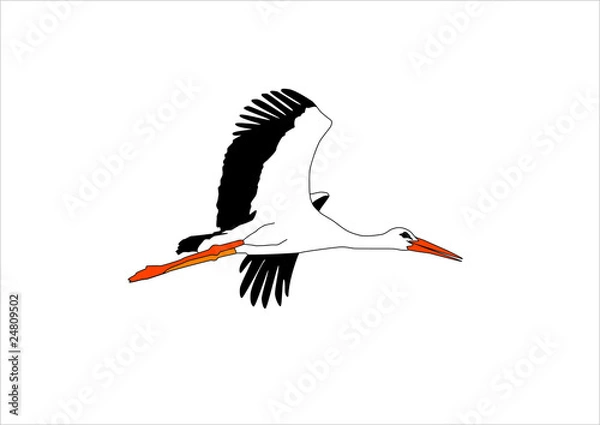 Obraz flying stork