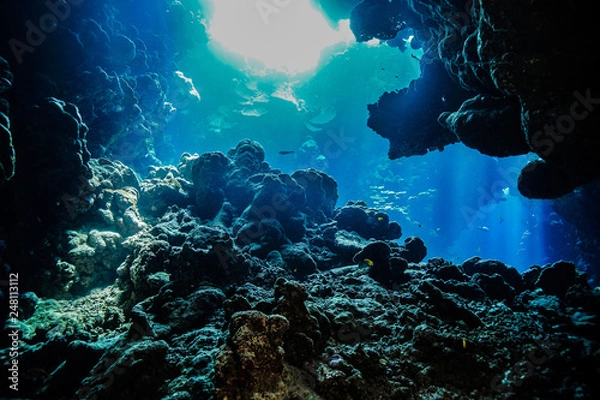 Obraz Caves of the Paradise reef at the Red Sea, Egypt