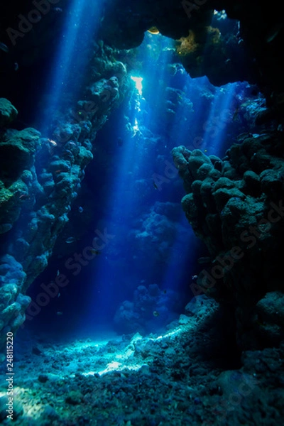 Obraz Caves of the Paradise reef at the Red Sea, Egypt