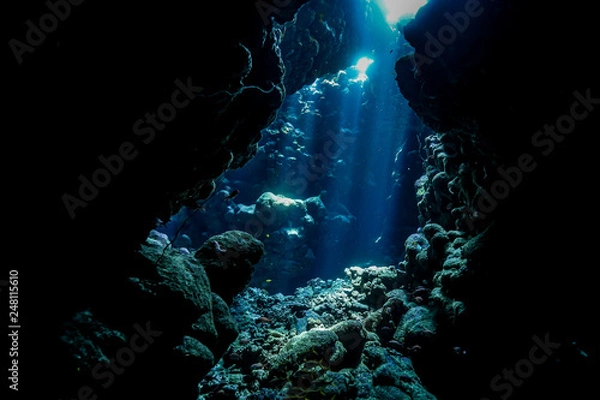 Obraz Caves of the Paradise reef at the Red Sea, Egypt