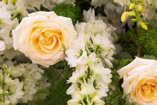 Fototapeta Flowers full bloom