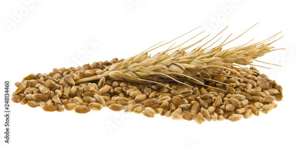 Fototapeta kernels isolated on white background