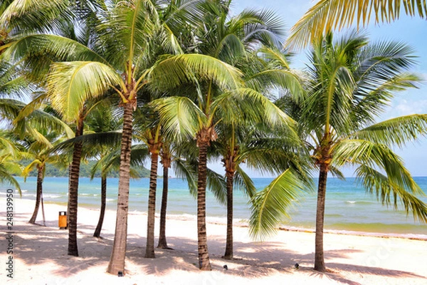 Fototapeta Khem beach