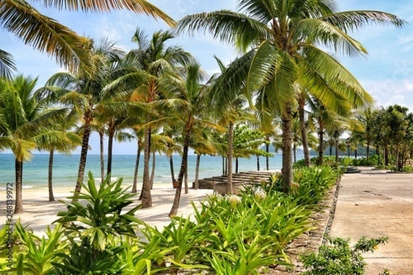 Fototapeta Khem beach