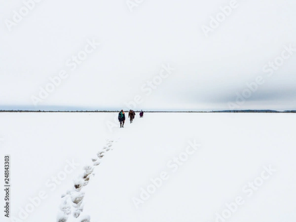 Obraz Winter trip through the Yelnya Bog National Landscape Reserve, Belarus