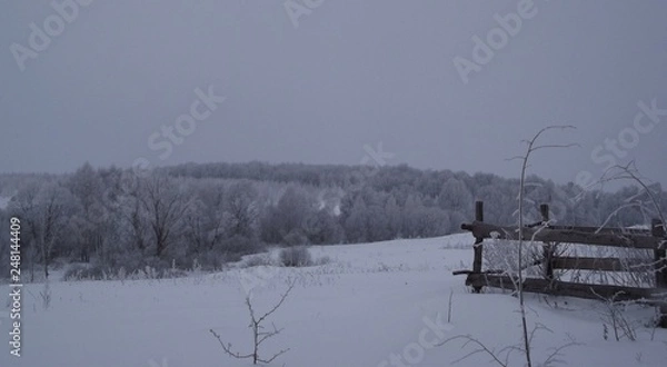 Obraz winter landscape