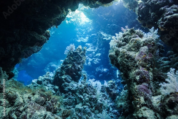 Obraz Caves of Claudia Reef at the Red Sea, Egypt