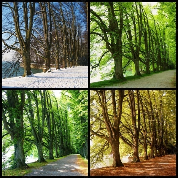 Obraz Four Seasons