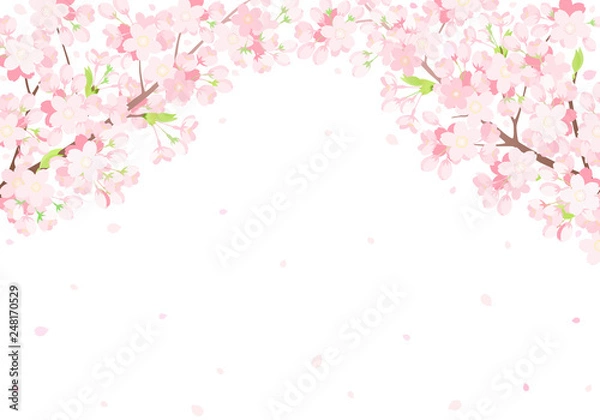 Obraz 桜　背景イラスト