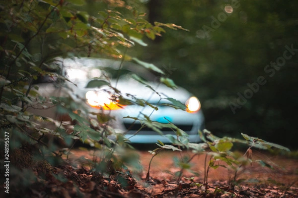 Obraz car behind plants