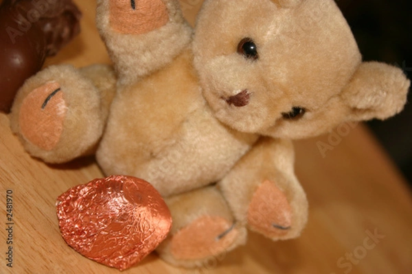 Obraz teddy and chocolate