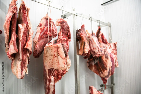 Obraz Cámara frigorífica con carne en ganchos colgada 