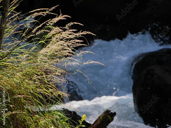 Obraz Горная речка