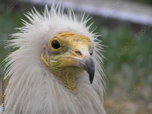 Fototapeta OLYMPUS DIGITAL CAMERA