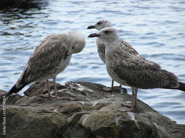 Fototapeta OLYMPUS DIGITAL CAMERA