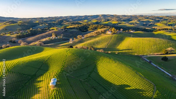 Obraz Paso Robles