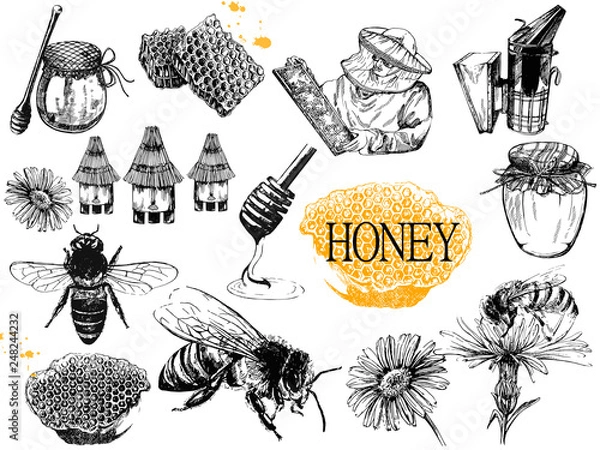 Fototapeta Set of hand drawn sketch style beekeeping themed objects isolated on white background. Vector illustration.