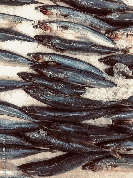 Obraz Small Saba fish placed on ice