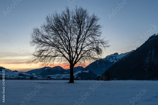 Obraz winter landscape with trees and blue sky