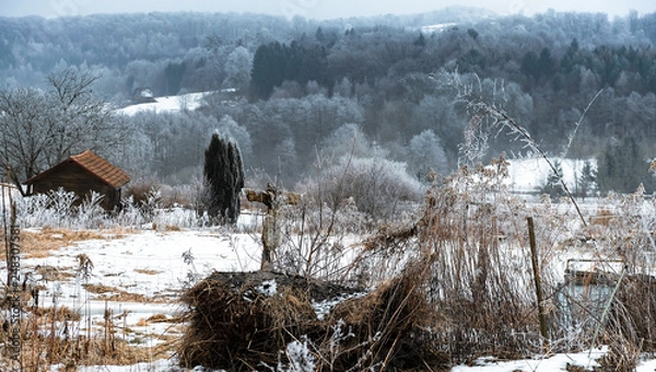 Fototapeta Snow Scarecrow