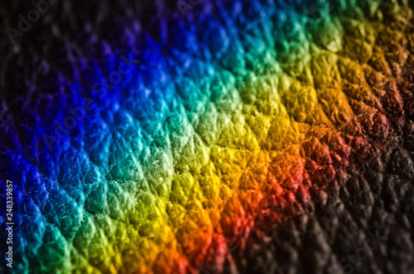 Obraz Rainbow on leather