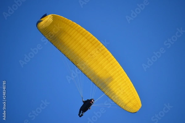 Obraz Paraglider in the sky