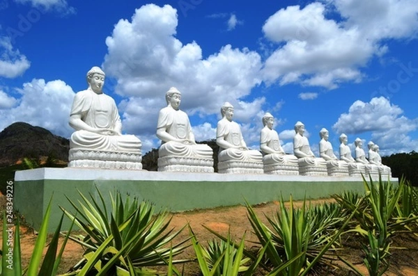 Obraz Namaste garden